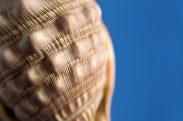 Similar image 8006257