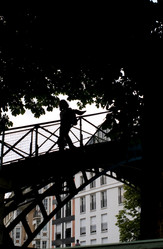 Similar image 8006258