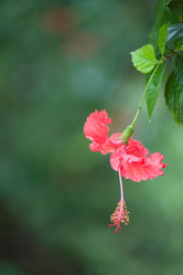 Similar image 8006263