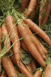 Similar image 8006273