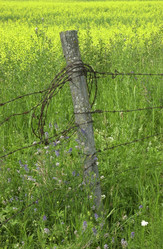 Similar image 8006290