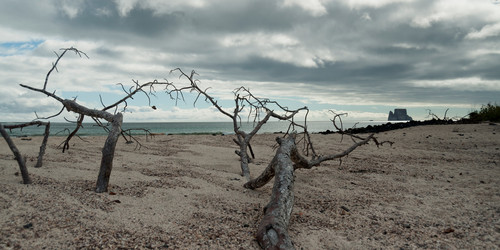 Similar image 8006294