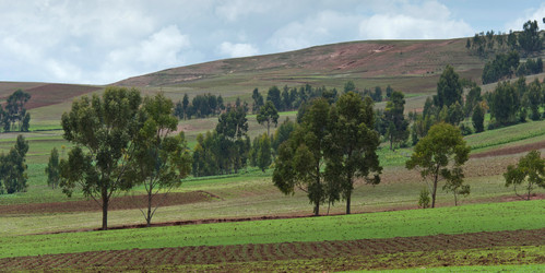 Similar image 8006296