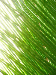 Similar image 8006299