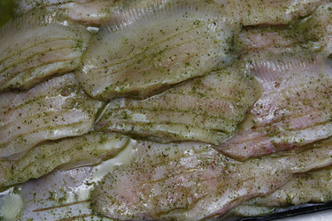 Similar image 8006301