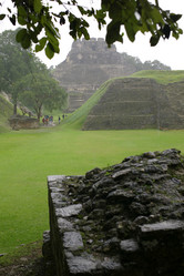 Similar image 8006303