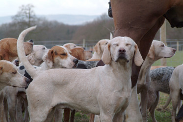 Similar image 8006305