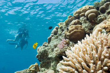 Similar image 8006307