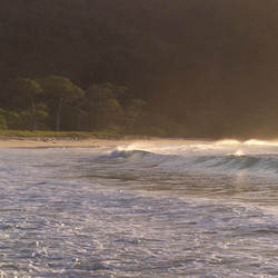 Similar image 8006316