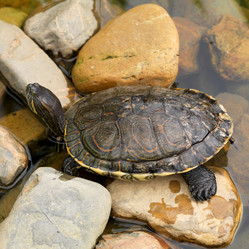 Similar image 8006319