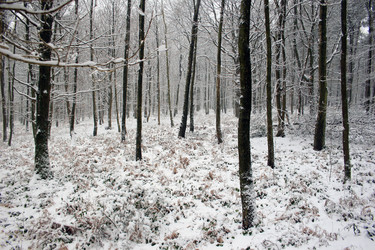 Similar image 8006328