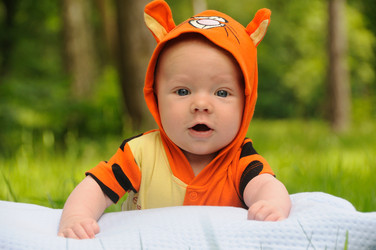 Similar image 8006332