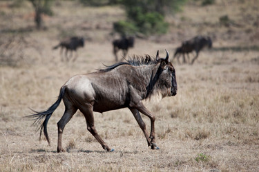 Similar image 8006336