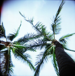 Similar image 8006339