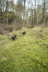 Similar image 8006340