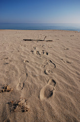 Similar image 8006345