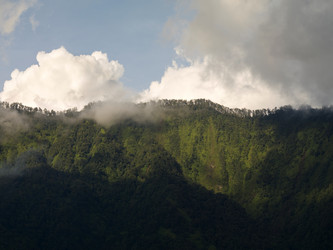 Similar image 8006348