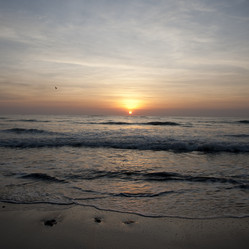 Similar image 8006350