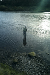 Similar image 8006356