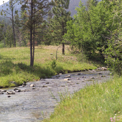 Similar image 8006361