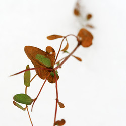 Similar image 8006366