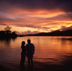 Similar image 8006369