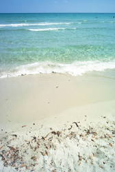 Similar image 8006379