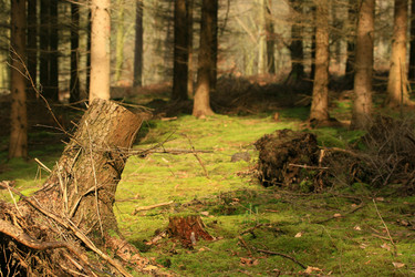 Similar image 8006388