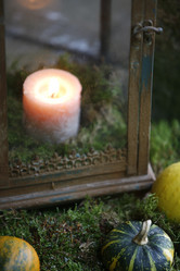 Similar image 8006392