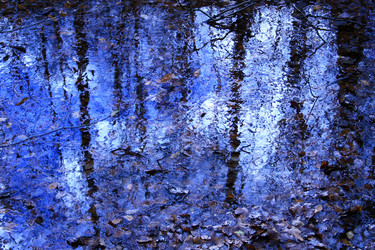 Similar image 8006393