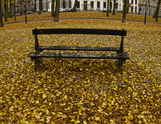 Similar image 8006397