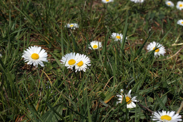 Similar image 8006401