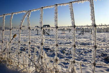 Similar image 8006403