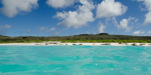 Similar image 8006410