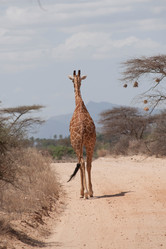 Similar image 8006422