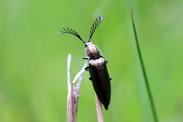 Similar image 8006425