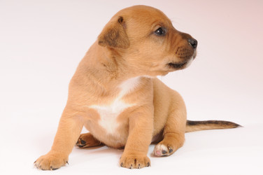 Similar image 8006432