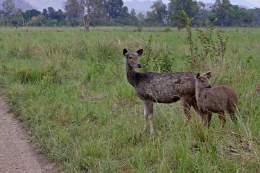 Similar image 8006442