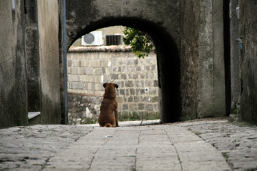 Similar image 8006443