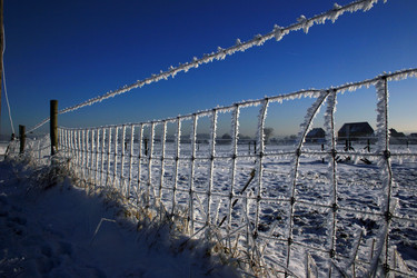 Similar image 8006463