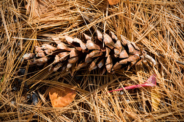 Similar image 8006471