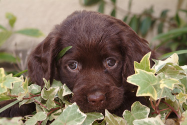 Similar image 8006473