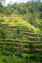 Similar image 8006474