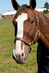 Similar image 8006478