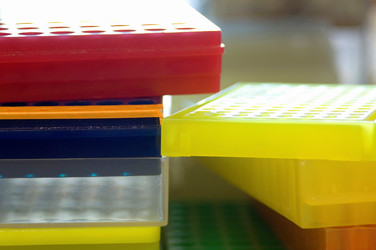 Similar image 8006481