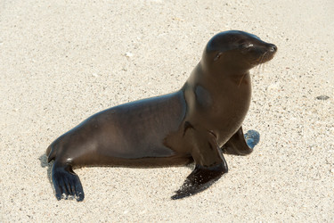 Similar image 8006487