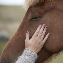 Similar image 8006490