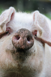 Similar image 8006492