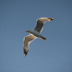 Similar image 8006493