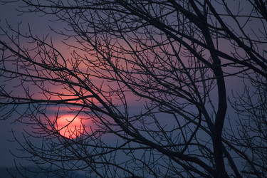 Similar image 8006494